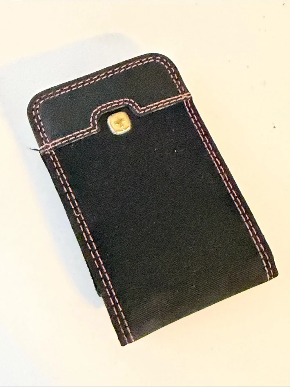 Wenger The Rhea Belt Case Pink Stitch Swiss Army Nylon Vinyl Camera Case